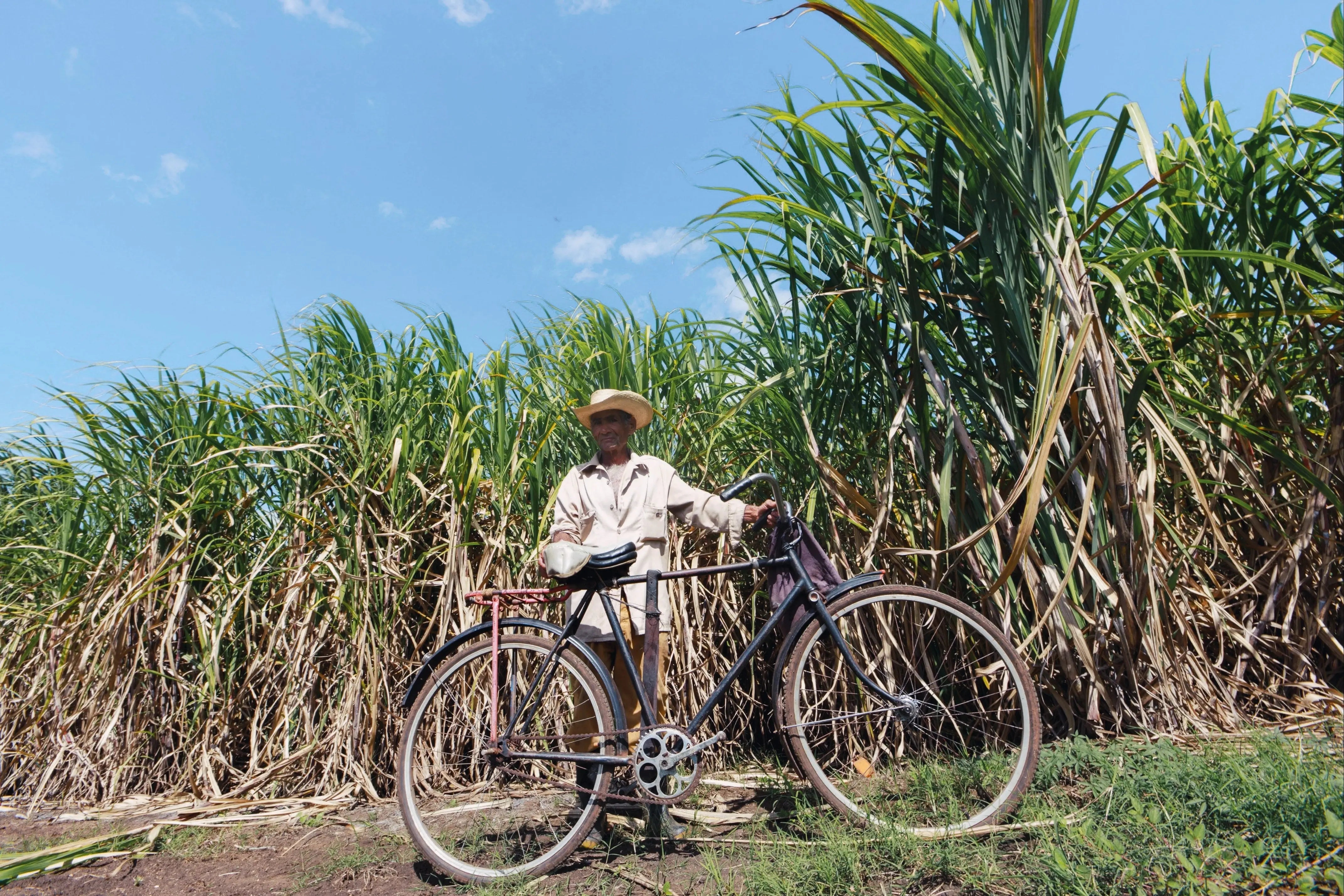 How Is Sugarcane Fibre Better Than Other Fibre Supplements? - IV Nutrition