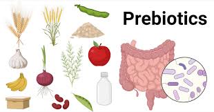 Everything You Need to Know About Prebiotics for Gut Health - IV Nutrition