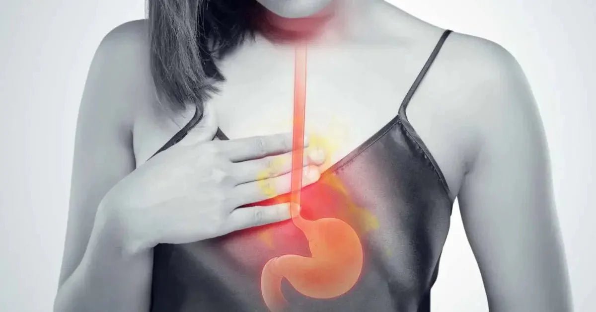 Gerd and the Sweet Relief: How Sugar Cane Fiber Can Transform Heartburn - IV Nutrition