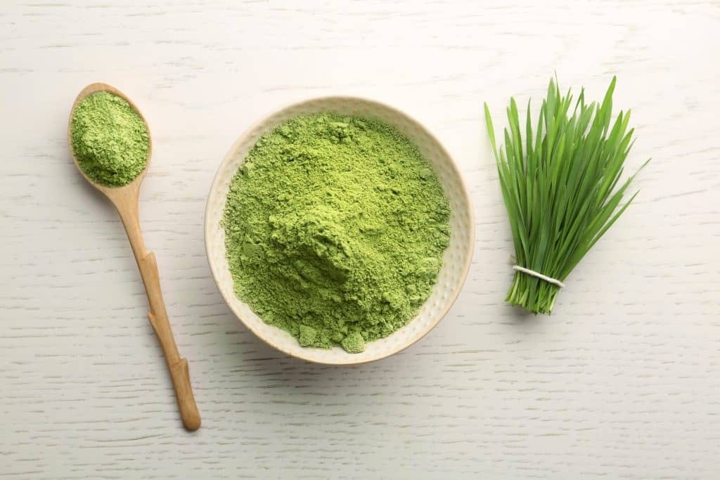 Gut Health Powder: Boost Well-Being from Within - IV Nutrition