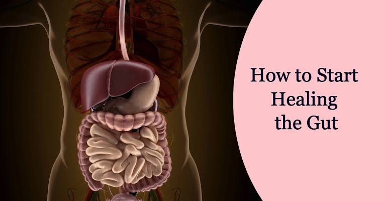 Healing Your Gut: How Long Does It Take? - IV Nutrition