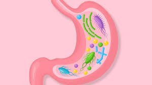 How to Reset Your Gut Health - IV Nutrition
