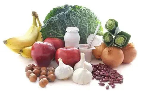 Luméa Gut Health 101: A Clinical Guide to Understanding, Supporting, and Transforming Your Digestive Wellness - IV Nutrition