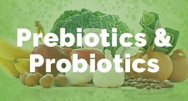 Probiotics vs. Prebiotics: Decoding the Gut Health Supplement Dilemma - IV Nutrition