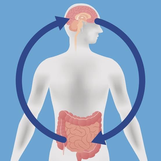 The Gut-Brain Connection: How Gut Health Powders Impact Mental Well-being - IV Nutrition