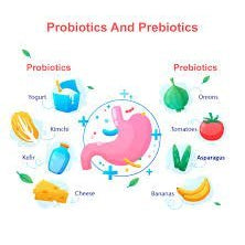 The Importance of Prebiotics: Unlocking the Key to Gut Health - IV Nutrition