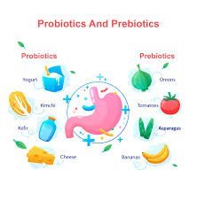 The Importance of Prebiotics: Unlocking the Key to Gut Health - IV Nutrition