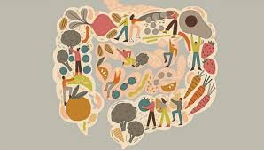 The Ins and Outs of Gut Health: Everything You Need to Know for a Healthier Digestive System - IV Nutrition