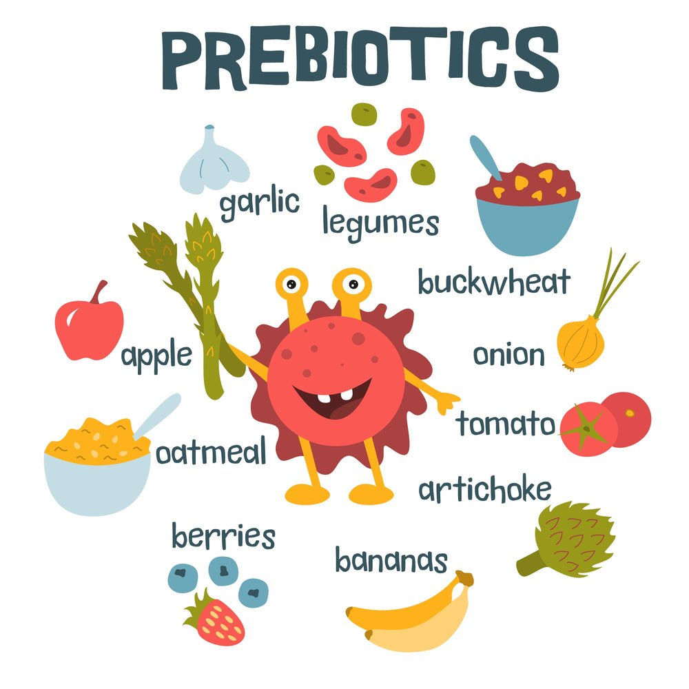 Unlocking the Power of Prebiotics: Enhancing Gut Health Naturally - IV Nutrition
