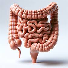 What Are IBD Symptoms? - IV Nutrition