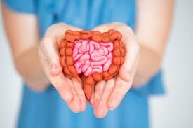 Why 2024 is the Year of Gut Health ? - IV Nutrition