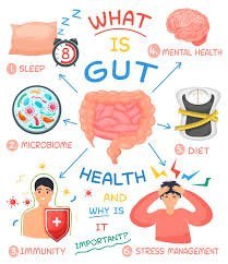 Why Should You Take Prebiotic Powder? - IV Nutrition