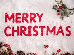 Why You Need Prebiotics for the Christmas Season - IV Nutrition