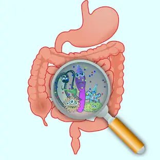 Why You Should Be Taking Prebiotic Gut Health Powder in 2025? - IV Nutrition